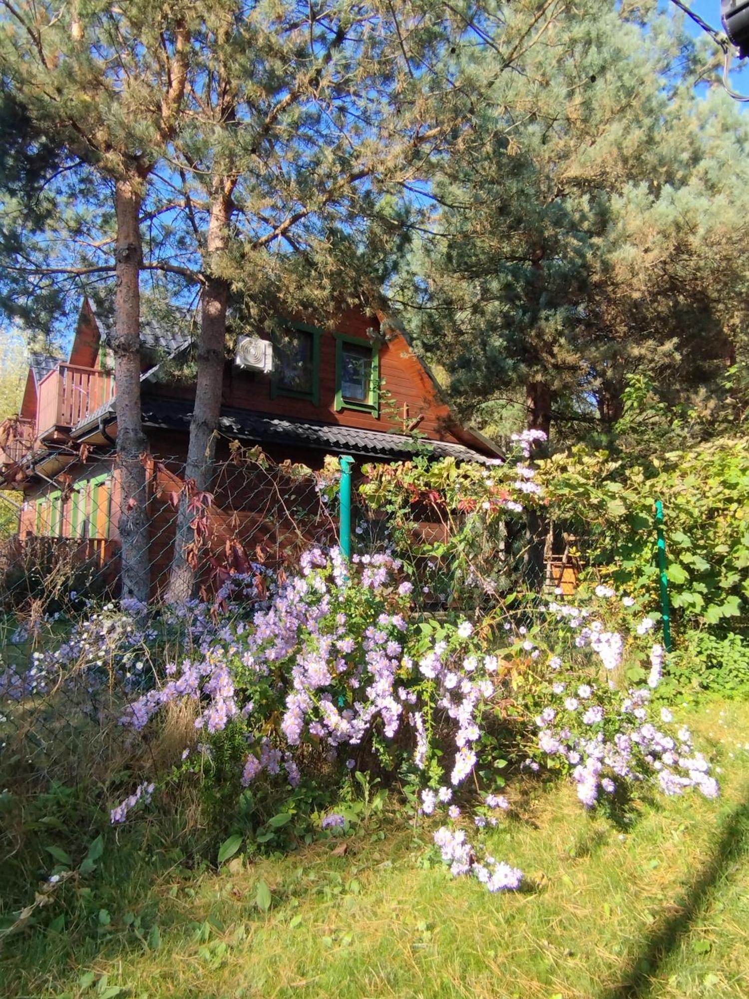Roztoczanskie Zacisze Kaczorki Exterior foto